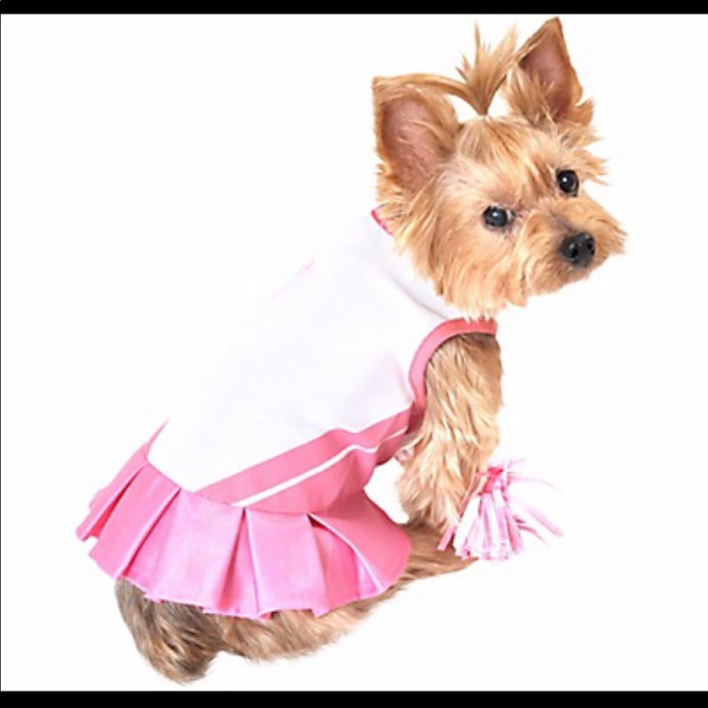 Dog cheerleader costume